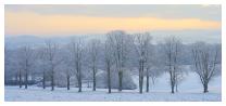slides/Toat Monument in snow.jpg snow,toat monument,south downs national park,simon parsons,lime trees,winter,light,sunrise Toat Monument in snow
